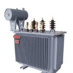 Three-Phase Oil-Immersed Transformer